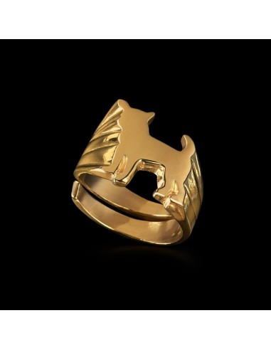 Chihuahua Signet Ring by Jonathan Johnson Dans la société mordern