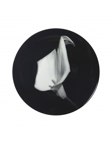 ROBERT MAPPLETHORPE "Small Calla Lily" PLATE Venez découvrir notre 