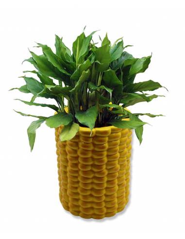 Giant Corn Planter by Third Drawer Down sur le site 